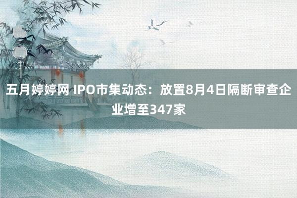 五月婷婷网 IPO市集动态：放置8月4日隔断审查企业增至347家
