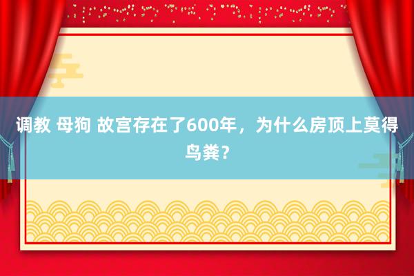 调教 母狗 故宫存在了600年，为什么房顶上莫得鸟粪？