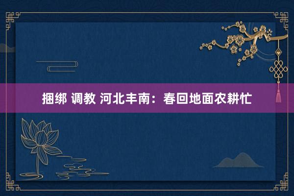 捆绑 调教 河北丰南：春回地面农耕忙