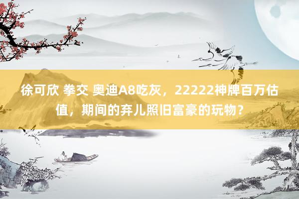 徐可欣 拳交 奥迪A8吃灰，22222神牌百万估值，期间的弃儿照旧富豪的玩物？