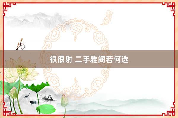 很很射 二手雅阁若何选