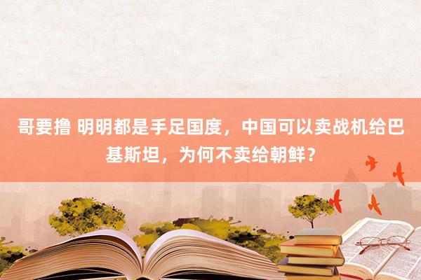 哥要撸 明明都是手足国度，中国可以卖战机给巴基斯坦，为何不卖给朝鲜？