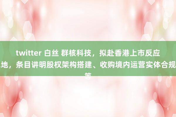 twitter 白丝 群核科技，拟赴香港上市反应见地，条目讲明股权架构搭建、收购境内运营实体合规等