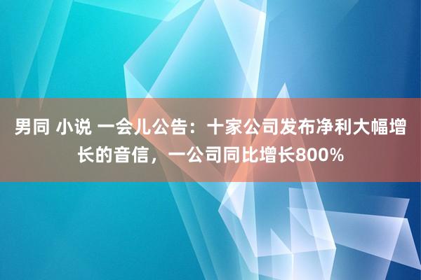男同 小说 一会儿公告：十家公司发布净利大幅增长的音信，一公司同比增长800%