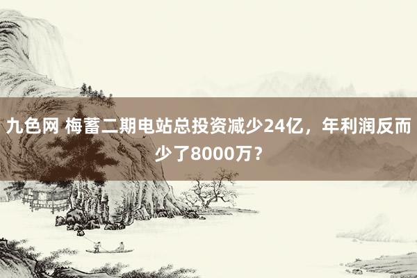 九色网 梅蓄二期电站总投资减少24亿，年利润反而少了8000万？