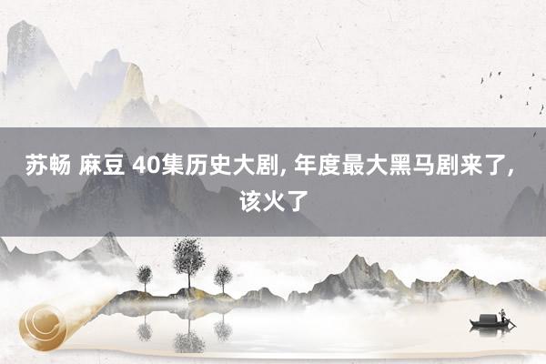 苏畅 麻豆 40集历史大剧, 年度最大黑马剧来了, 该火了