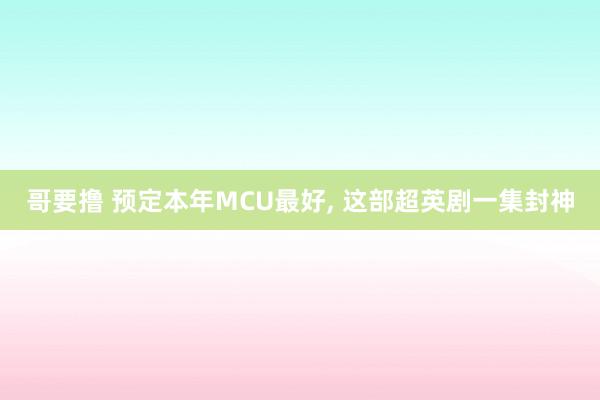 哥要撸 预定本年MCU最好, 这部超英剧一集封神
