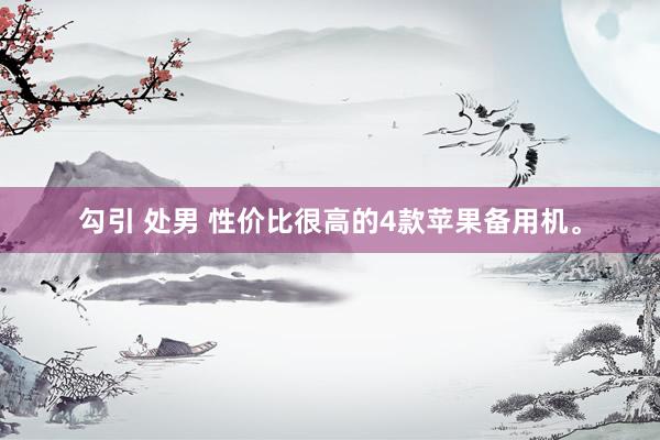 勾引 处男 性价比很高的4款苹果备用机。