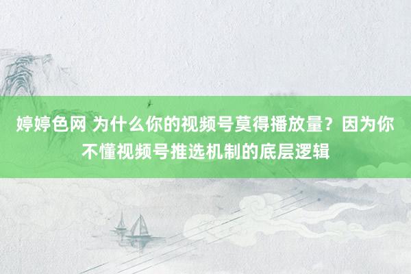 婷婷色网 为什么你的视频号莫得播放量？因为你不懂视频号推选机制的底层逻辑