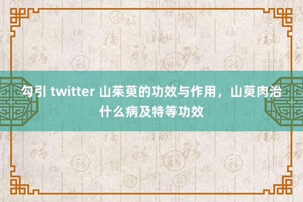 勾引 twitter 山茱萸的功效与作用，山萸肉治什么病及特等功效