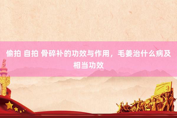 偷拍 自拍 骨碎补的功效与作用，毛姜治什么病及相当功效