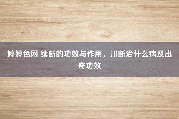 婷婷色网 续断的功效与作用，川断治什么病及出奇功效